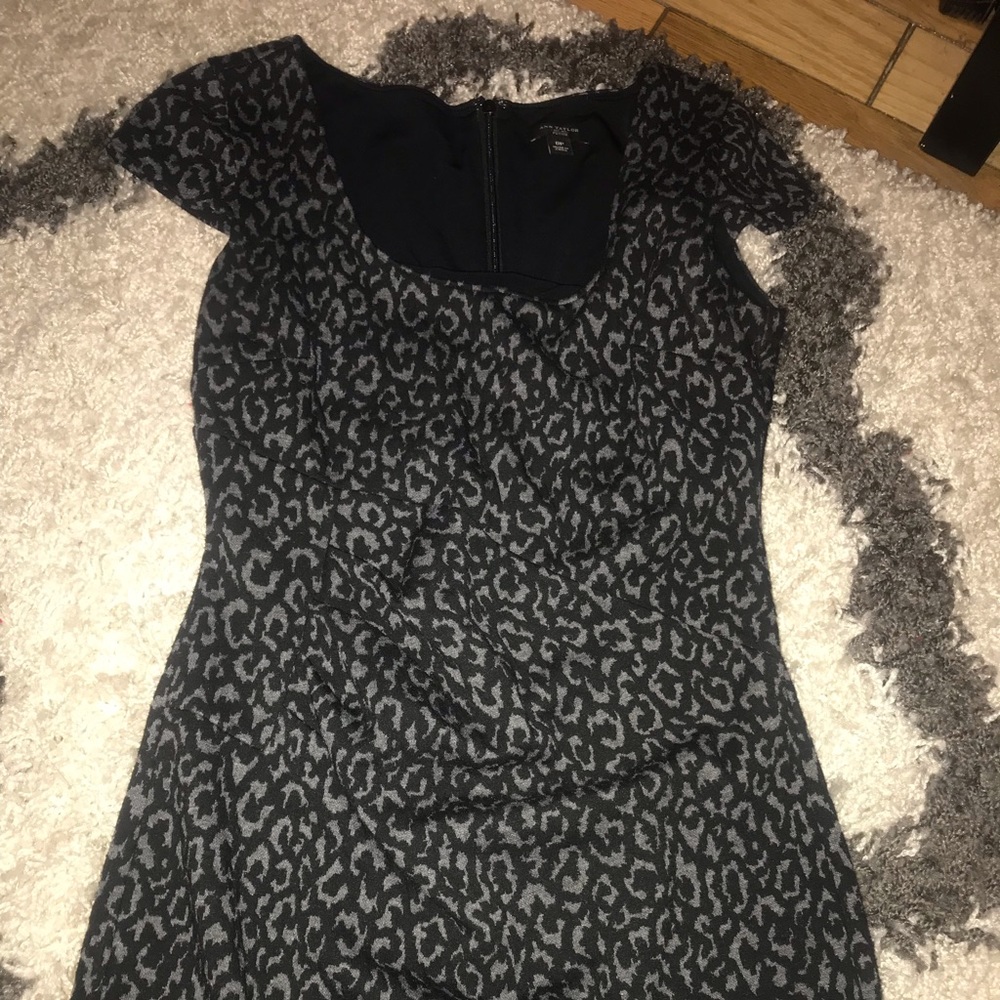 Ann Taylor Dress